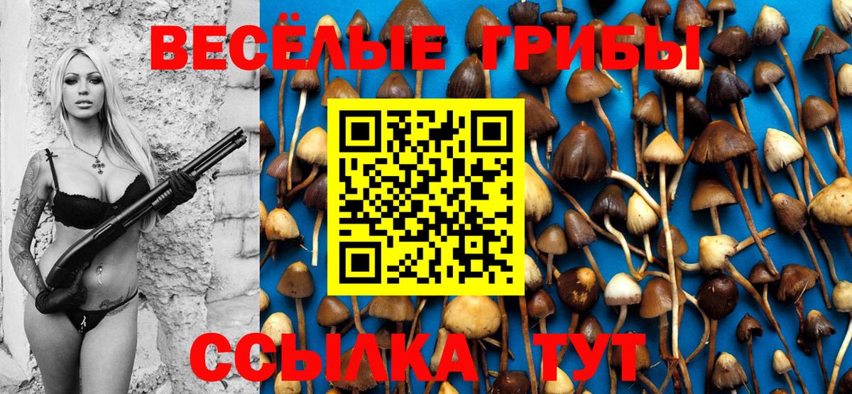 Галлюциногенные грибы прущие грибы Домодедово